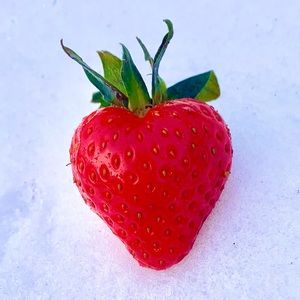 Meet your Posher, Justine